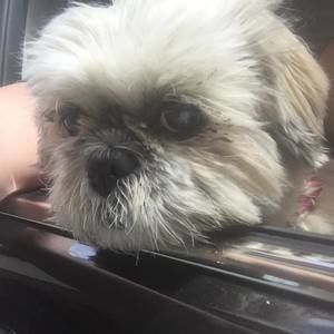 Meet your Posher, Janine